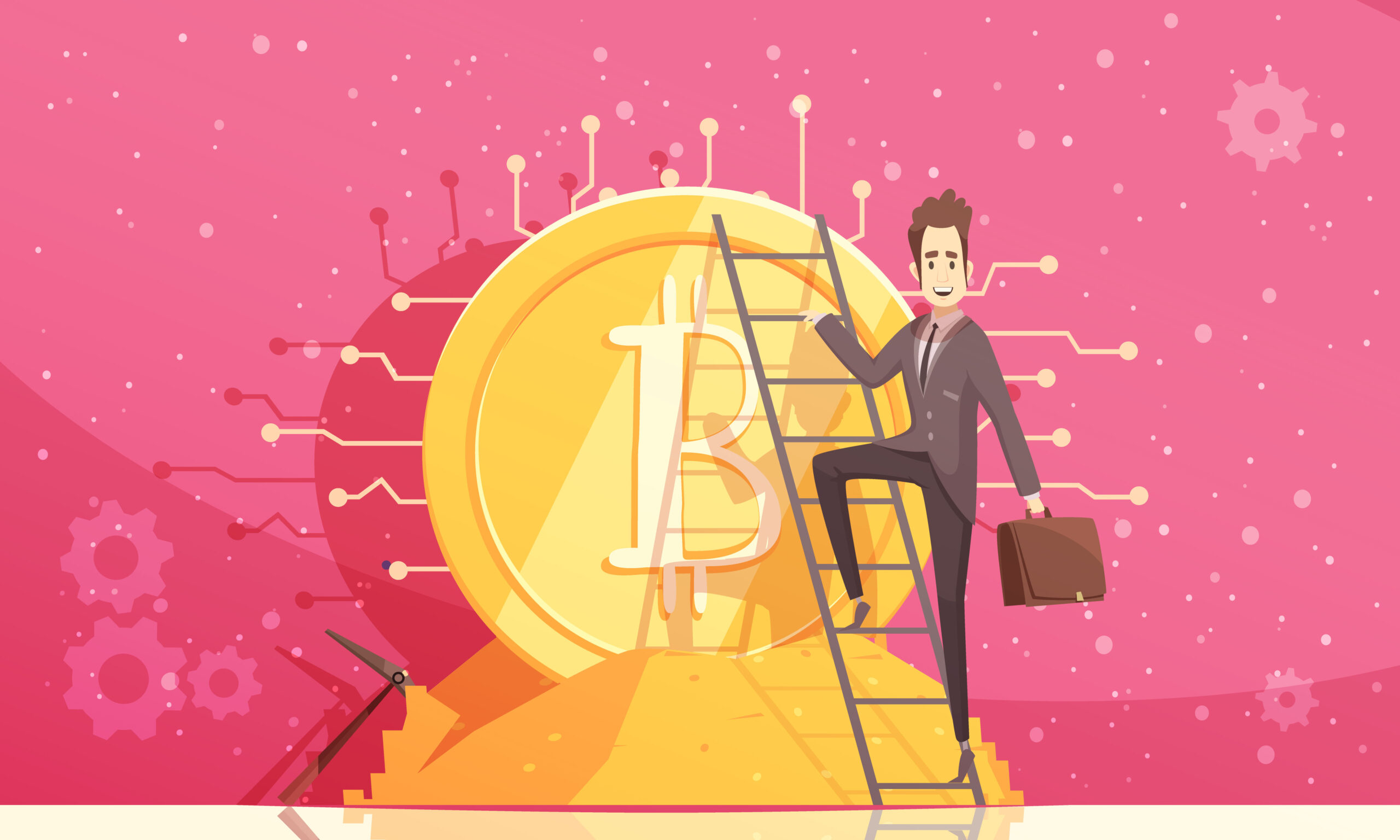 Future Outlook for Crypto30X.com